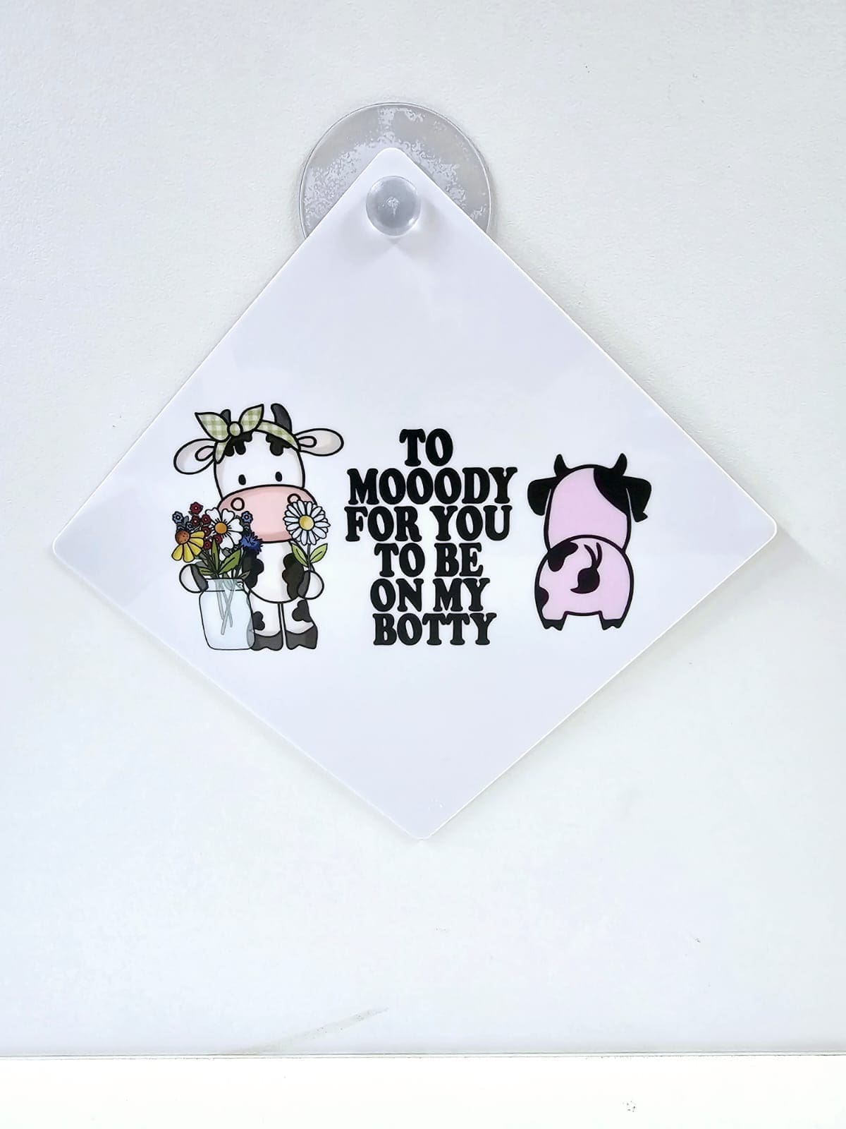 CarsignDirectprintUV Laser & UV Print : Direct print to Baby Car Sign