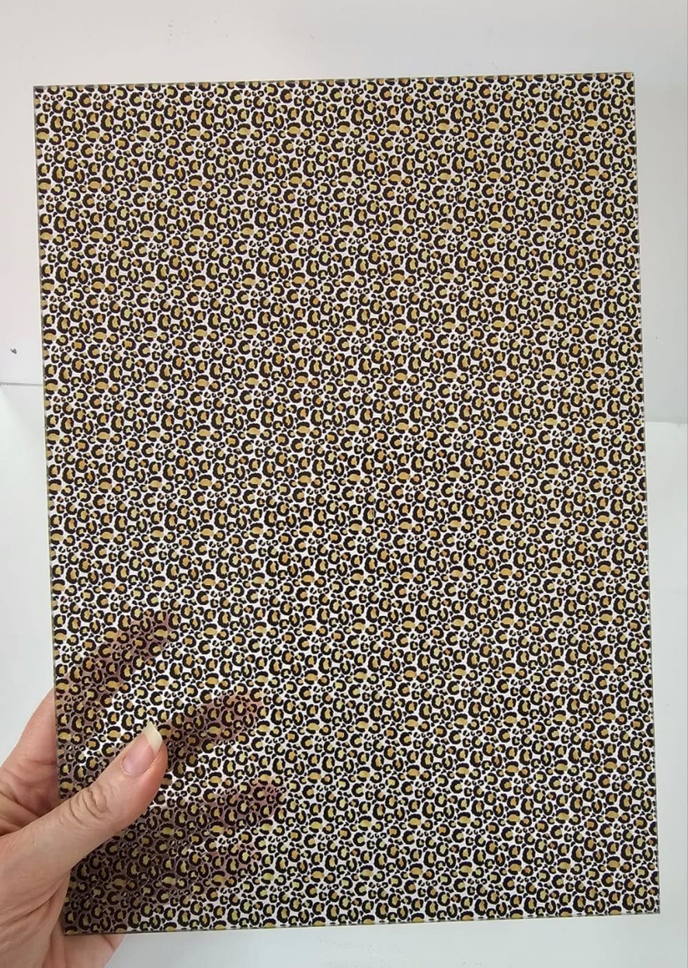 Acrylic Blanks : Patterned LEOPARD PRINT 04 Clear Boards (A6, A5, A4, 30 by 30cm, A3 Single Sided Only)