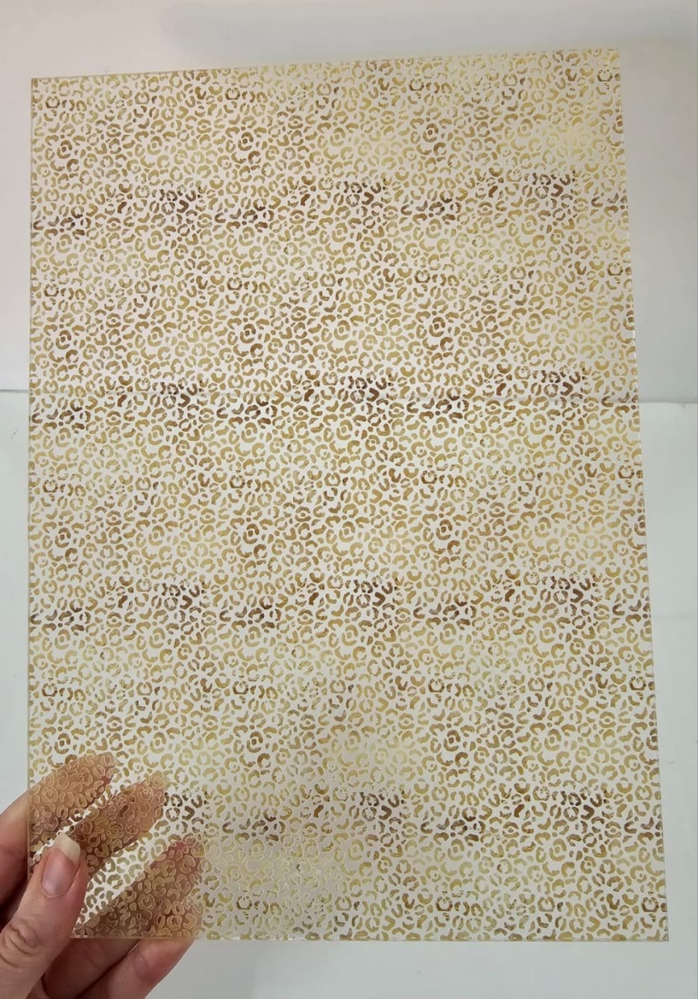 Acrylic Blanks : Patterned LEOPARD PRINT 02 Clear Boards (A6, A5, A4, 30 by 30cm, A3 Single Sided Only)