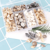 Resin Supplies : Natural Seashells in Box
