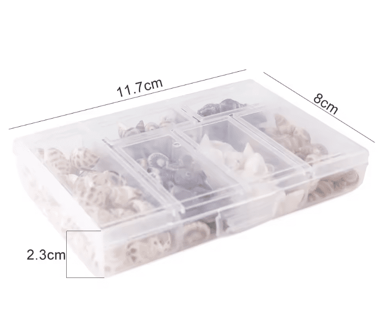 Resin Supplies : Natural Seashells in Box