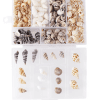 Resin Supplies : Natural Seashells in Box
