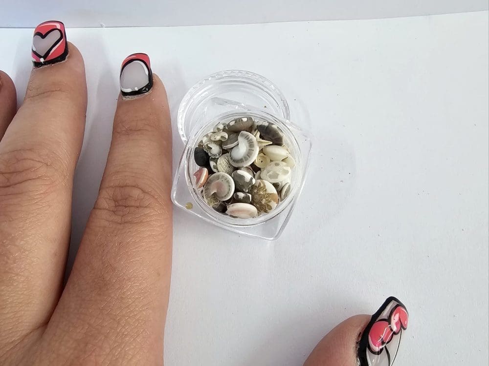 Resin Supplies : Mini Shell Conch Natural Set in Round container