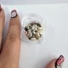Resin Supplies : Mini Shell Conch Natural Set in Round container