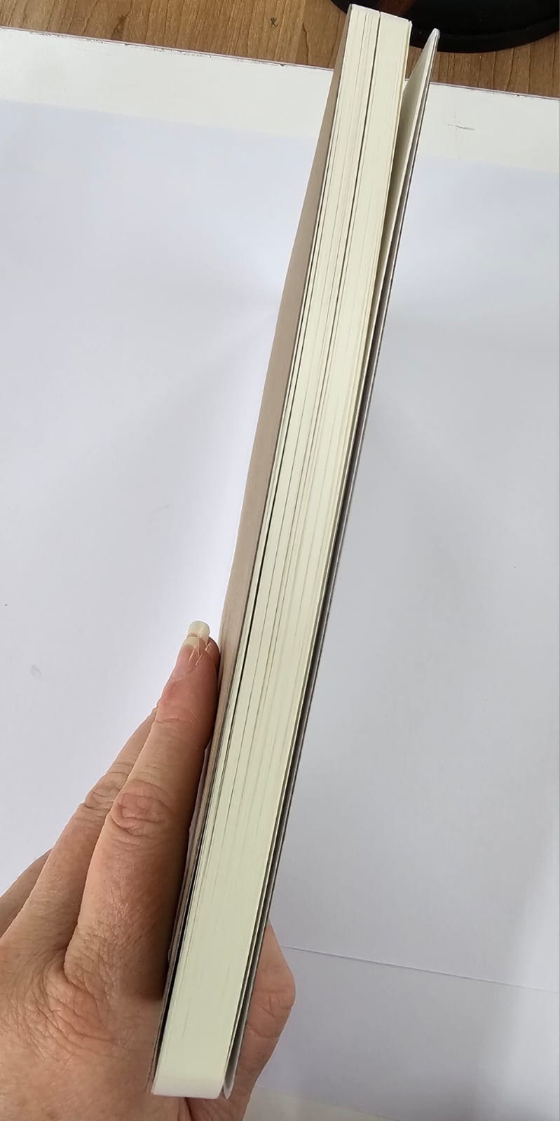 A5 Replacement book2 Sublimation Blanks : Replacement books for PU Leather Notebooks