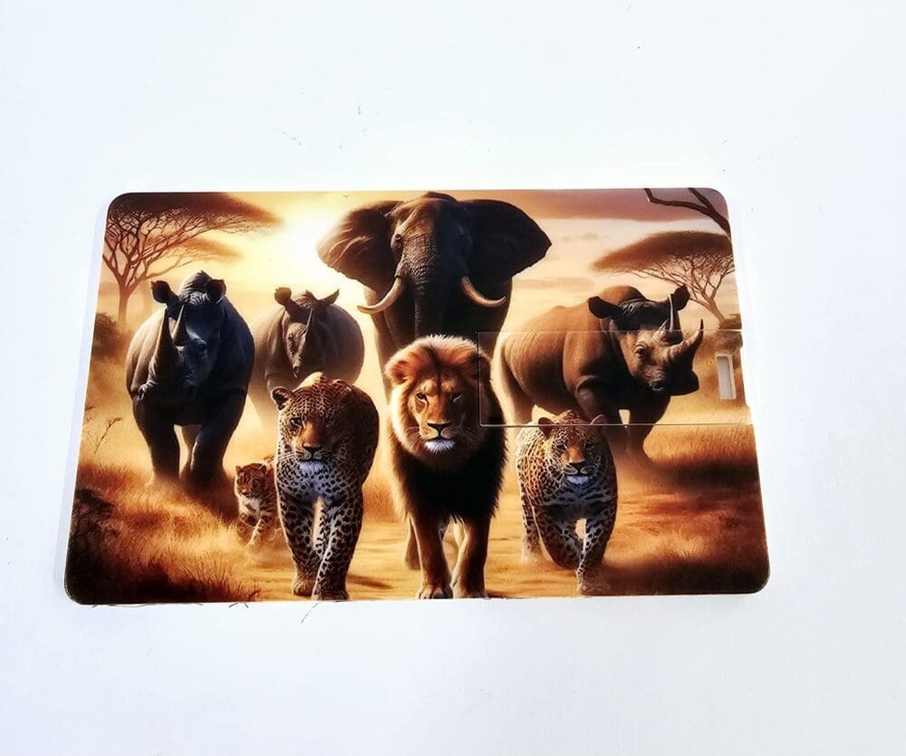 Technology : White Credit Card USB Drive, 8gigs (Blank or UV Print)