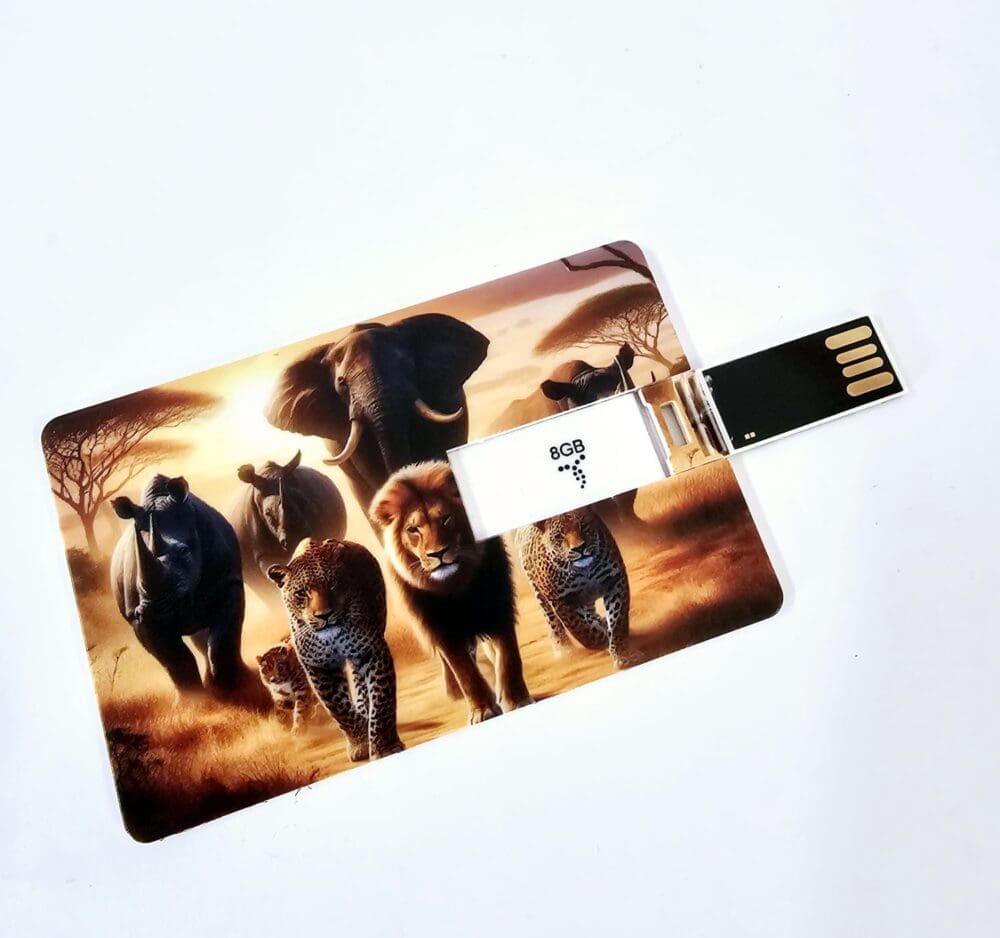 Technology : White Credit Card USB Drive, 8gigs (Blank or UV Print)