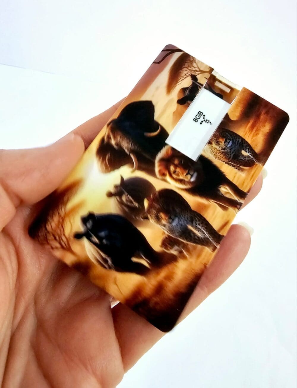 Technology : White Credit Card USB Drive, 8gigs (Blank or UV Print)