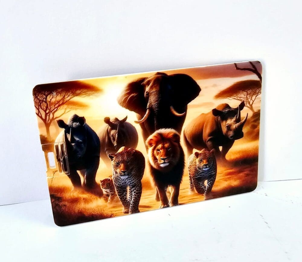 Technology : White Credit Card USB Drive, 8gigs (Blank or UV Print)