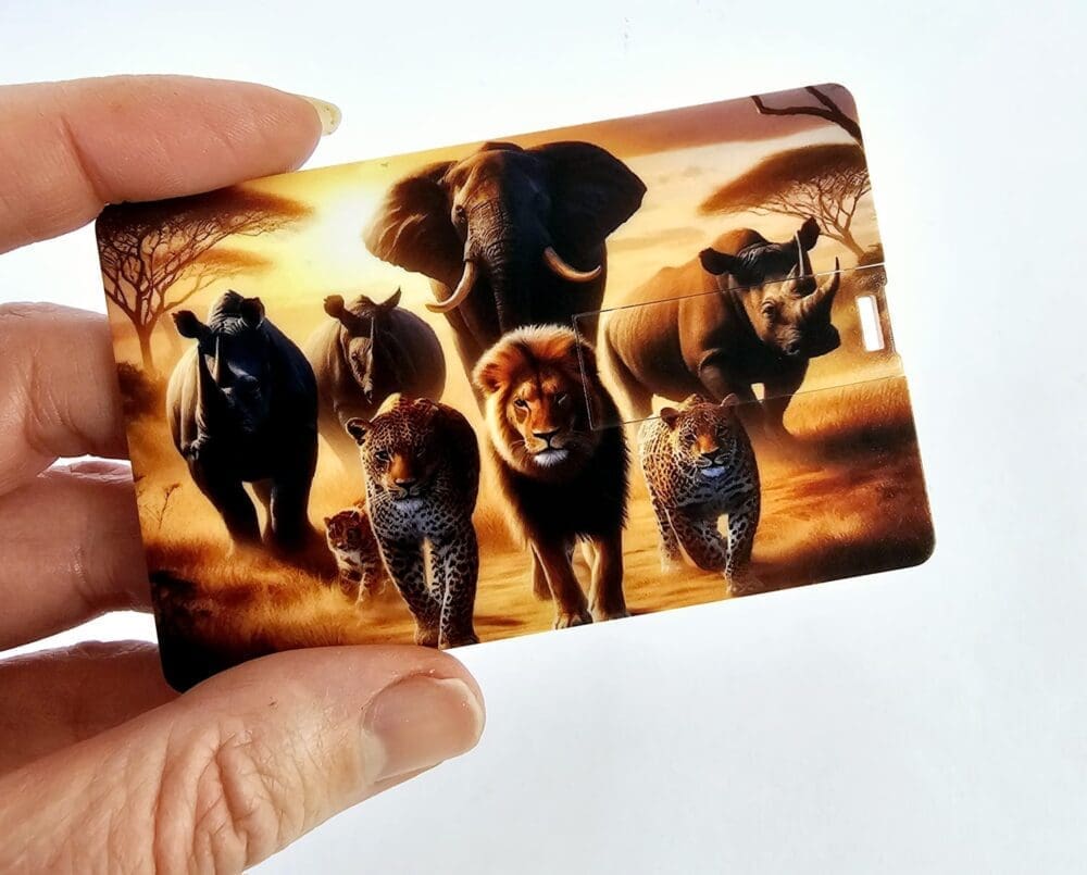 Technology : White Credit Card USB Drive, 8gigs (Blank or UV Print)