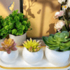 Resin & Epoxy : 3 Piece Floral/Pot Plant Silicone Mould (3 Sizes) [Code TU184_A)