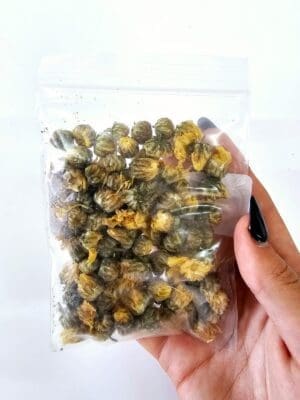 Epoxy, Soap & Candle Art : Chrysanthemum Buds in a bag  (DF3)