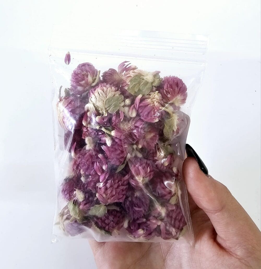 Epoxy, Soap & Candle Art : Gomphrena in a bag  (DF6)