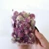 Epoxy, Soap & Candle Art : Gomphrena in a bag  (DF6)