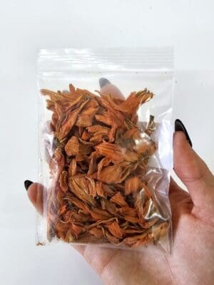 Epoxy, Soap & Candle Art : Lily Flower in a bag  (DF10)