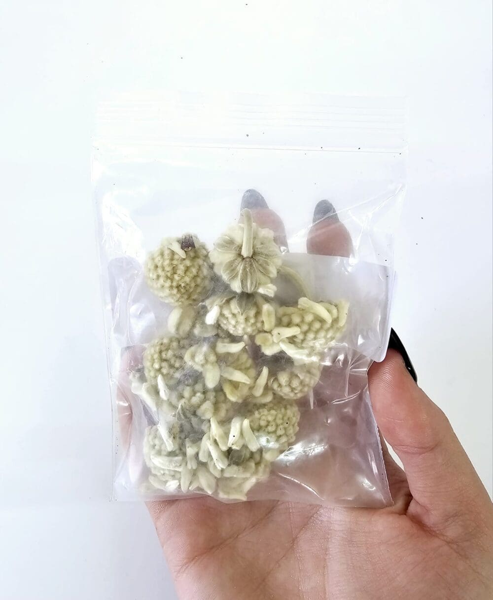 Epoxy, Soap & Candle Art : Mallow in a bag  (DF11)