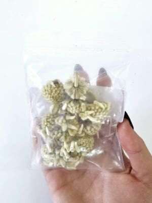 Epoxy, Soap & Candle Art : Mallow in a bag  (DF11)