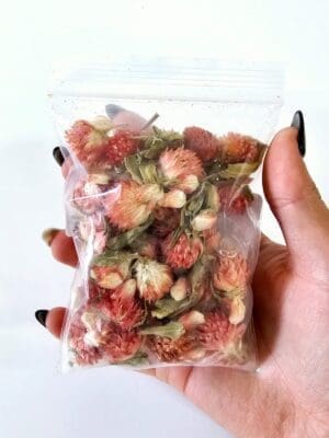 Epoxy, Soap & Candle Art : Red Plum in a bag (DF13)