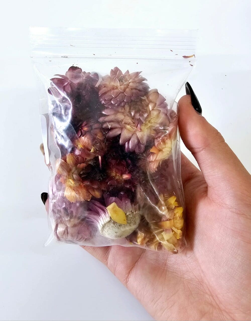 Epoxy, Soap & Candle Art : Strawflower Iin a bag (DF16)