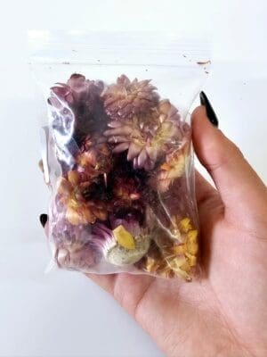 Epoxy, Soap & Candle Art : Strawflower Iin a bag (DF16)