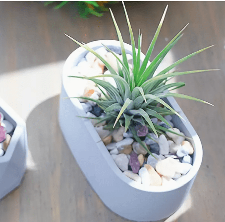 Silicone Moulds : Mini Oval Silicone Mould (MniO)