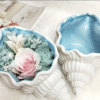 Silicone Moulds : Conch Shell Silicone Mould (Csea1)