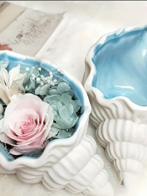 Silicone Moulds : Conch Shell Silicone Mould (Csea1)