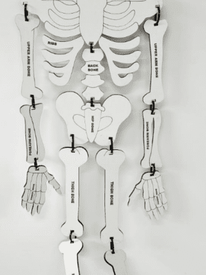 Laser Character Cut Out : Skelly the Skeleton (SK1)