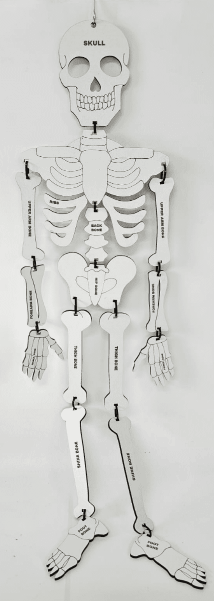 Laser Character Cut Out : Skelly the Skeleton (SK1)