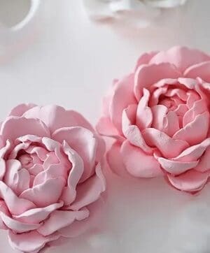 3-D Jasmine Flower Silicone Mould 2 Silicone Mould : 3-D Jasmine Flower Silicone Mould (JSMF)