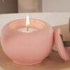 Silicone Moulds : Apple Bowl Shaped Silicone Mould (ABSSM)