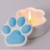 Silicone Moulds : Paw Shaped Storage Box Silicone Mould (PAQ)