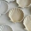 Silicone Moulds : Silicone Ocean Shell Tray Mould (OTM)