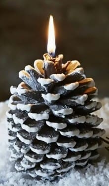 Pine Cone Candle Mould Silicone Mould : Pine Cone Mould (PCCM)