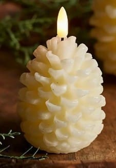 Silicone Mould : Pine Cone Mould (PCCM)