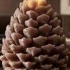 Silicone Mould : Pine Cone Mould (PCCM)