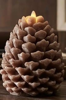 Silicone Mould : Pine Cone Mould (PCCM)