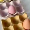 Silicone Mould : Egg Storage Holder Silicone Mould Tray (eshs)