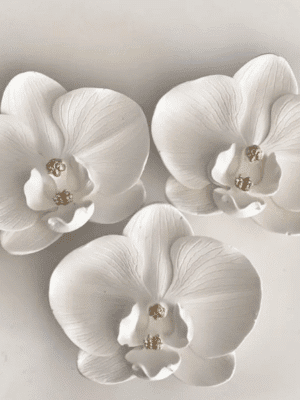 Orchid Silicone Mould : Phalaenopsis Orchid Flower Silicone Mould (PhlOrc)