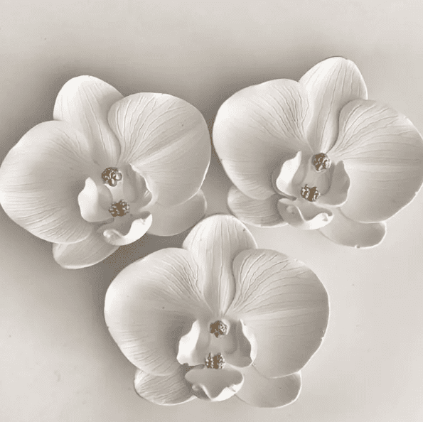 Silicone Mould : Phalaenopsis Orchid Flower Silicone Mould (PhlOrc)