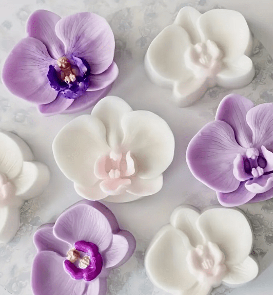 Silicone Mould : Phalaenopsis Orchid Flower Silicone Mould (PhlOrc)
